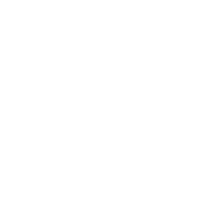 2-1 (Demo)